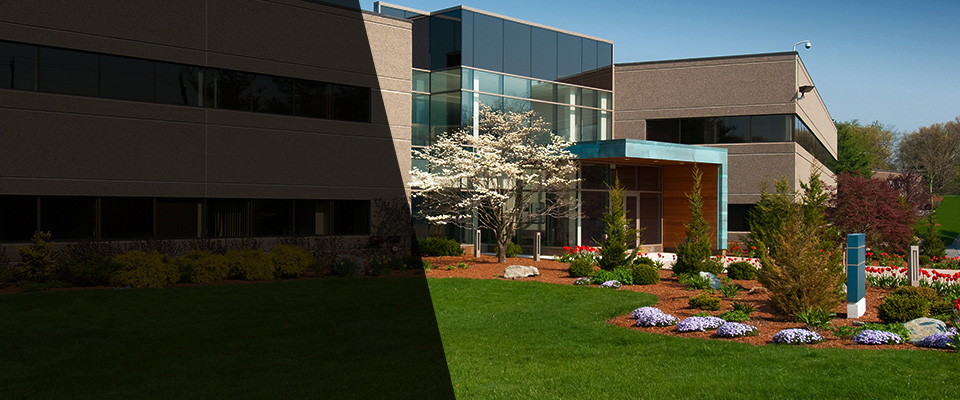 Mattapan Landscapers