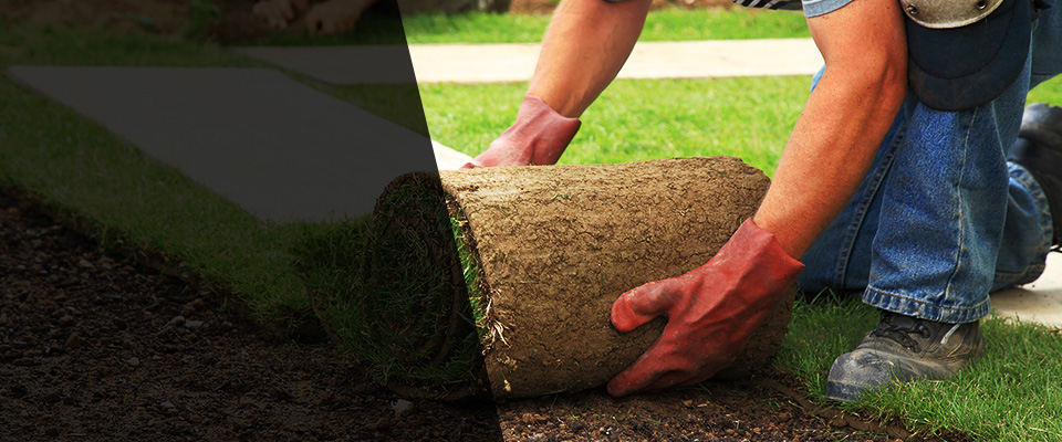 Mattapan Landscapers